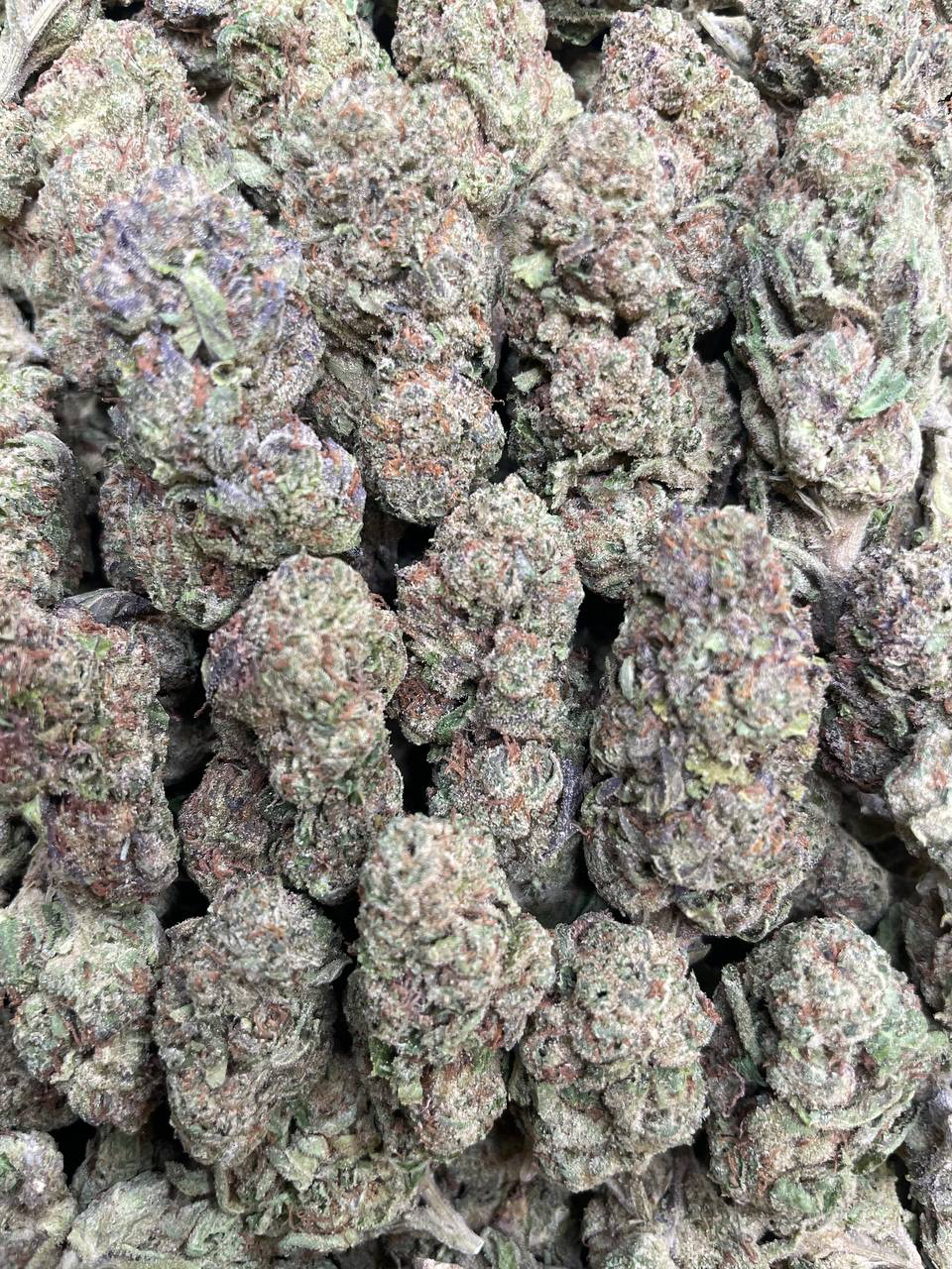 Super Runtz strain